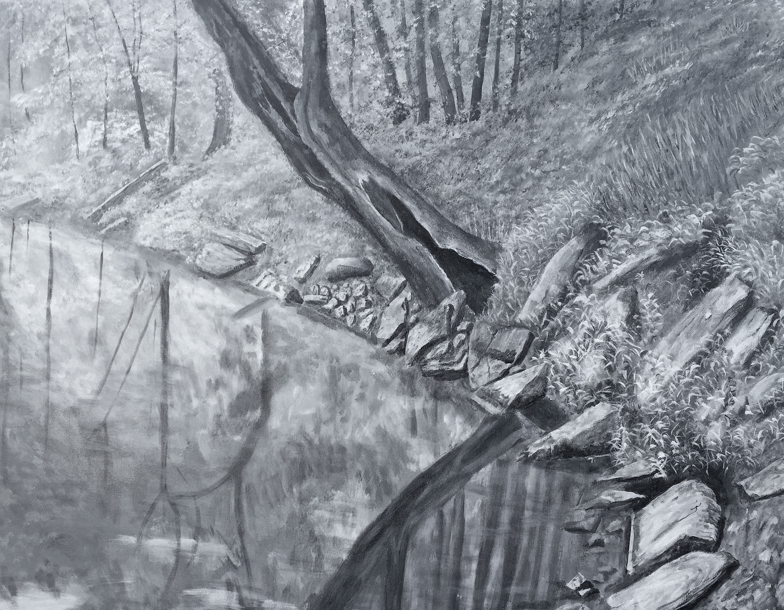 Hocking River Bank, 24" x 30", acrylic on canvas