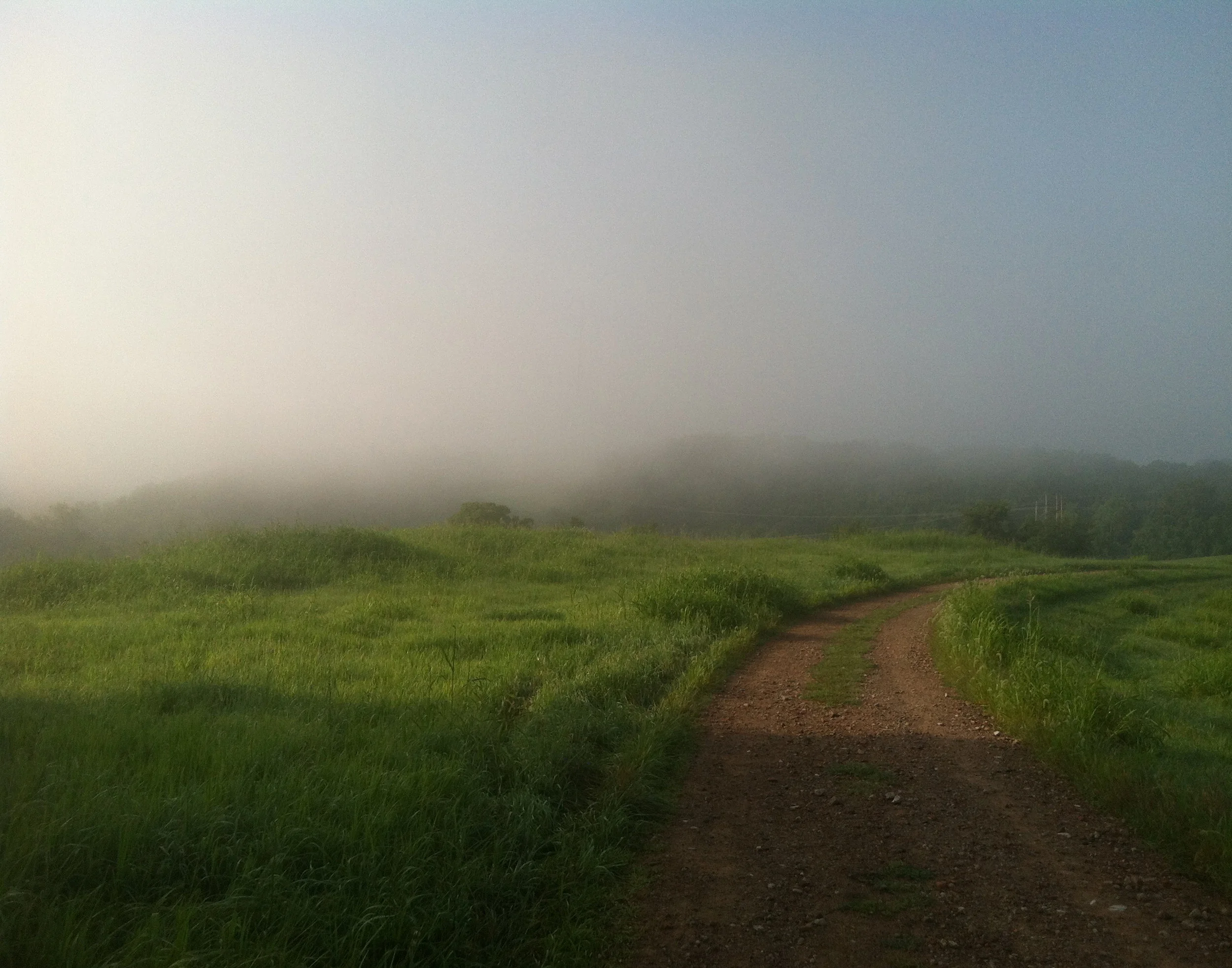 Misty Morning