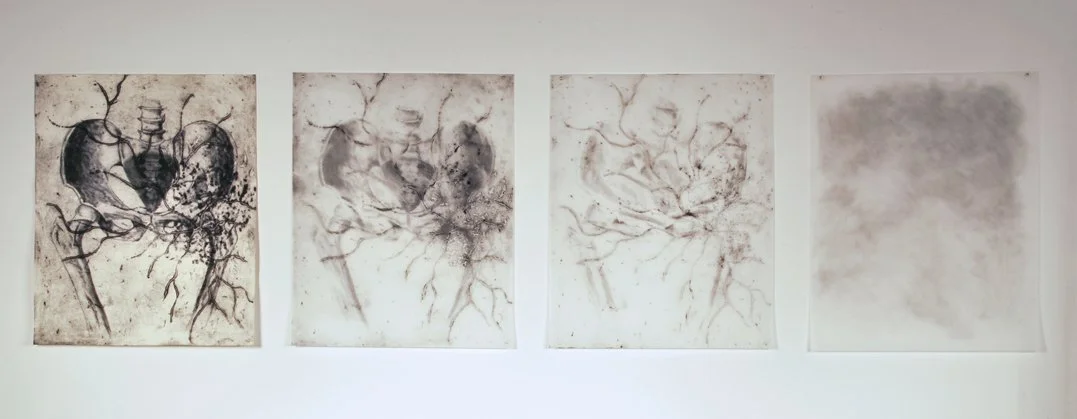 detail transfiguration