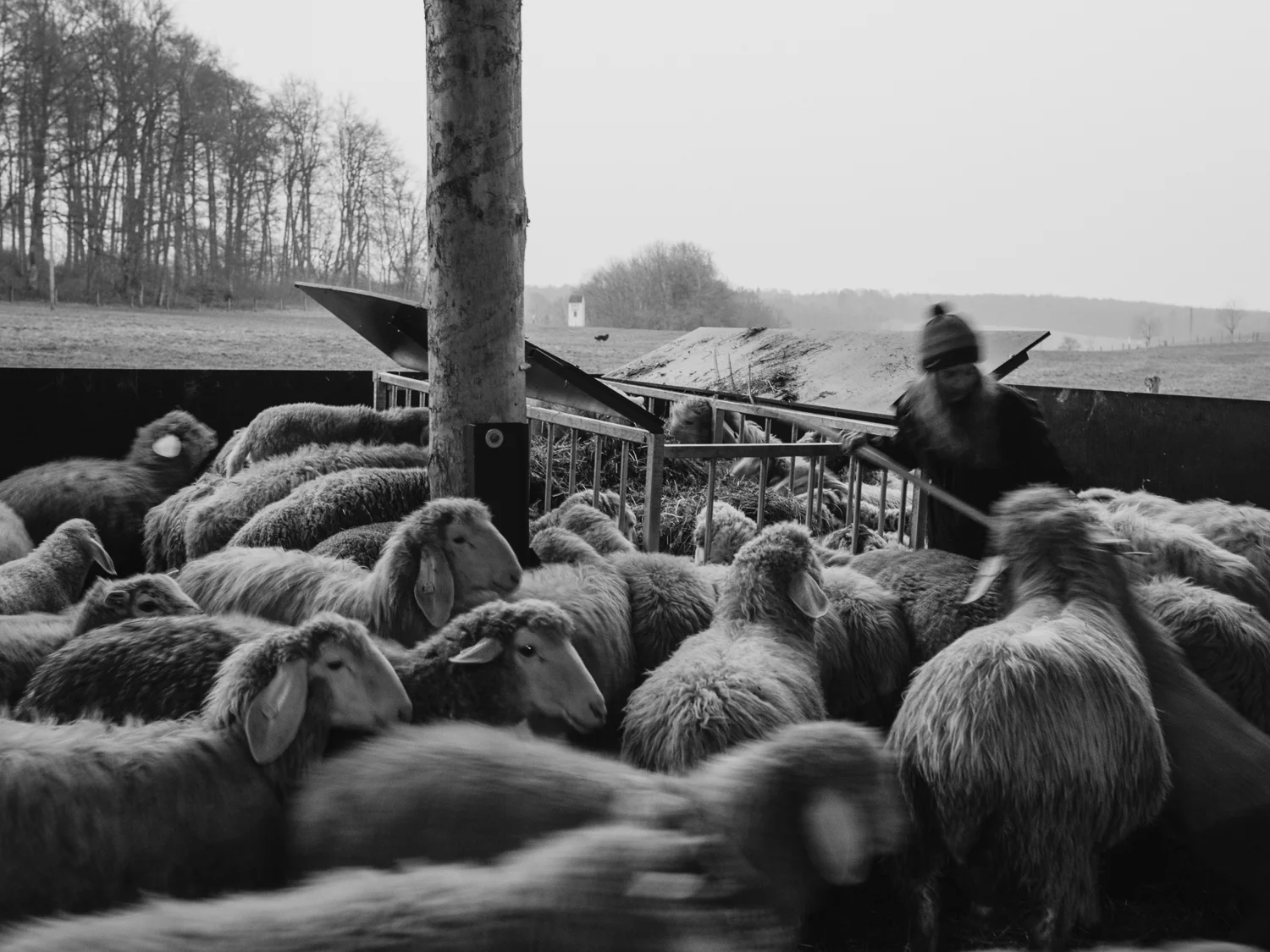  Fleischkochbuch  Christian Verlag, 2014 