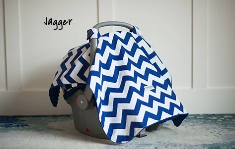 carseat canpoy jagger.jpg