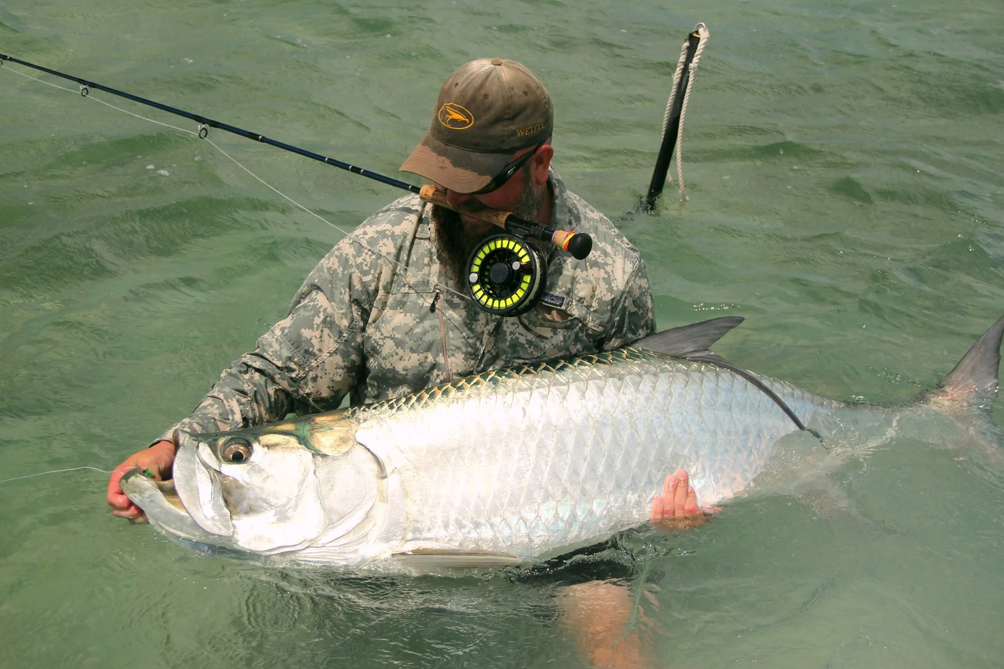 Steve-Tarpon.jpg
