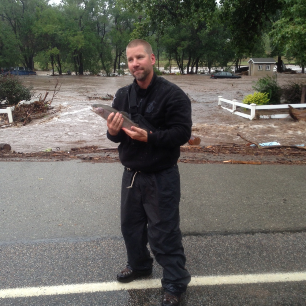 Rainbow trout found alive in middle of Highway 36, North Saint Vrain.