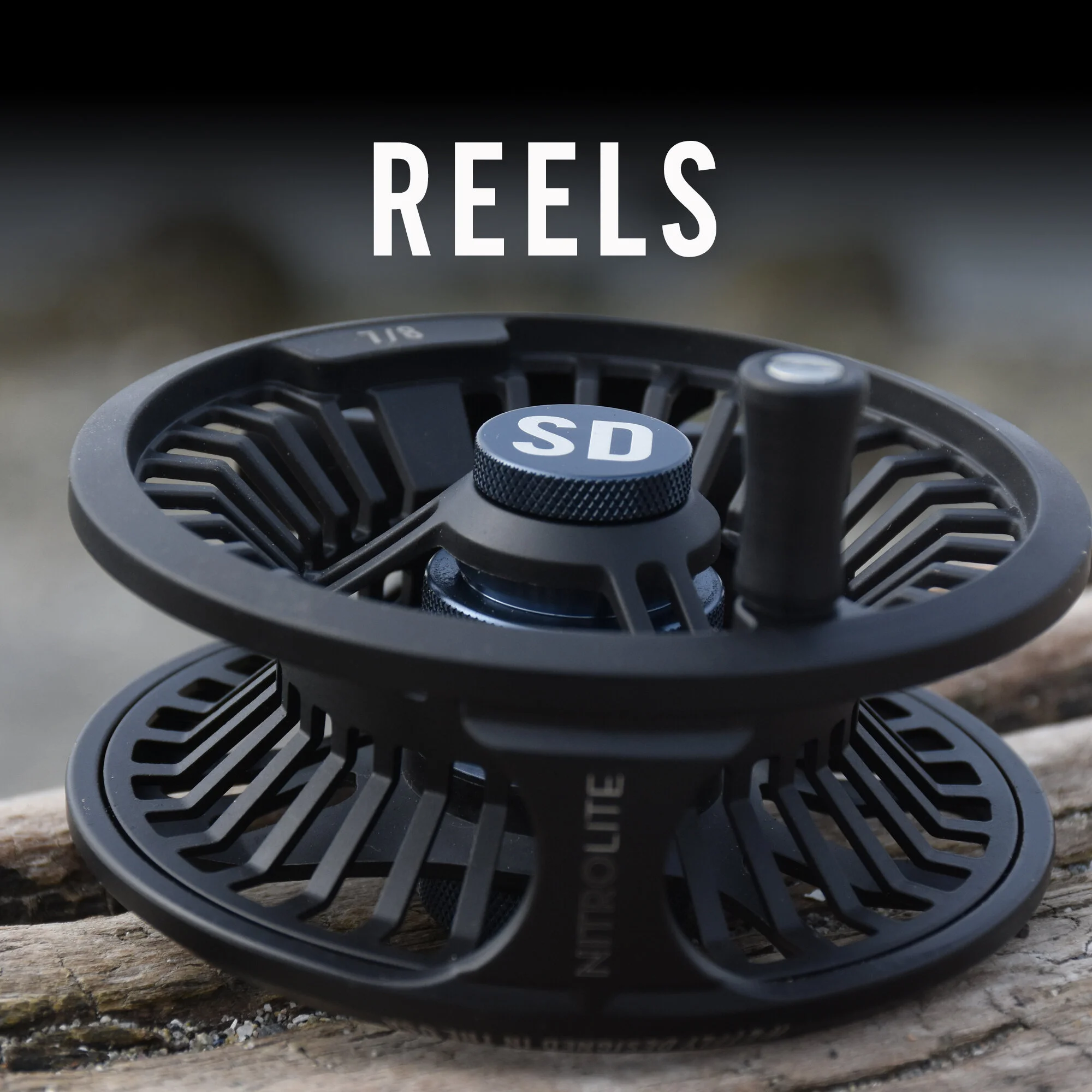REELS