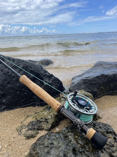 g loomis escape spinning rod G-Loomis GCX Inshore grand rapids sporting goods Size:Beer Mug (24oz) LEO The spinning Shimano Gcx