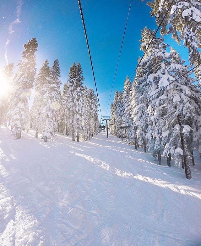 The sun is shining, the skies are blue and the skiing is AWESOME!! Hope everyone is enjoying their holiday weekend ☀️💙❄ #regram via @tahoenorth #homewood #snow #laketahoe #winter #cedarcrestcottages #boutiquehotel #skiday #moutain