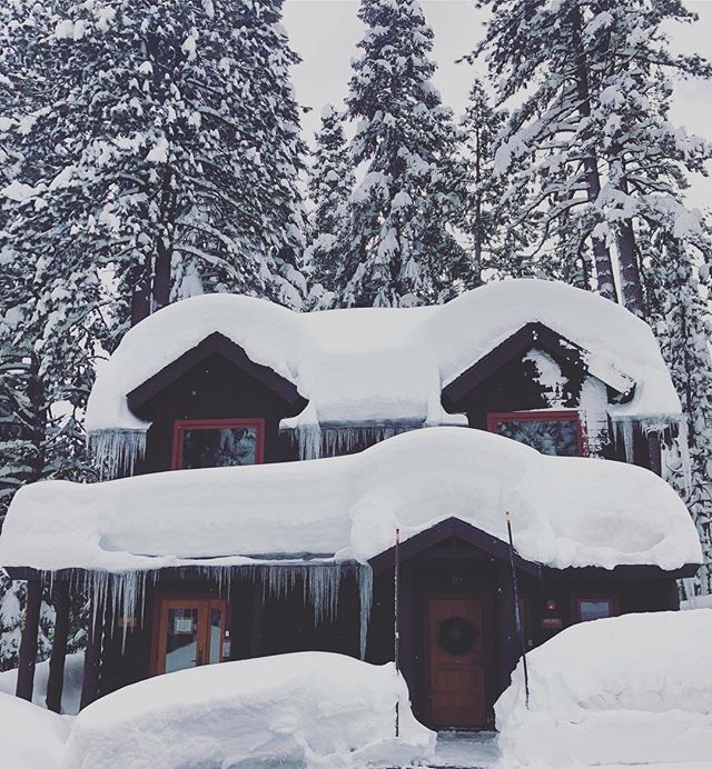 It&rsquo;s a winter wonderland at Cedar Crest Cottages! ❄️💙 #laketahoe #letitsnow #beautiful .
.
.
.
.
.
#tahoe #tahoenorth #tahoesouth #westshoretahoe #renotahoe #sanfrancisco #sf #thebay #bayarea #sacramento #sanjose #snow #pow #winter #cottages #