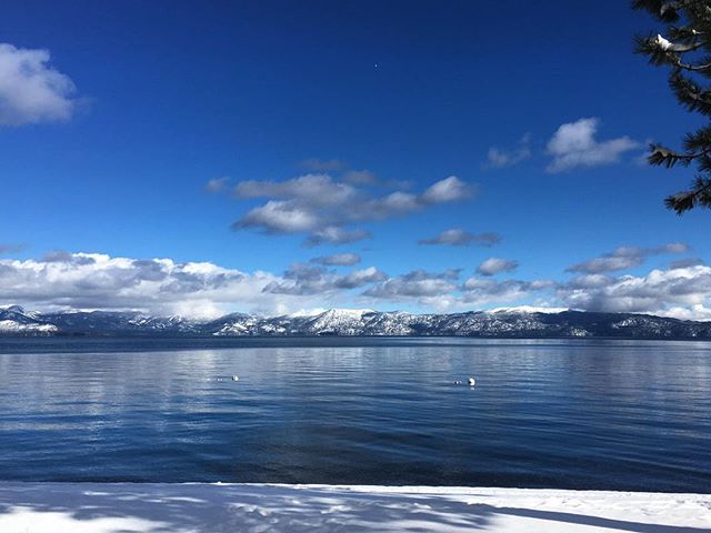 With new snow in the forecast and recently discounted rates, Cedar Crest Cottages is the perfect spot to relax after a long day on the slopes! 💙❄️☃️ #letitsnow #laketahoe #cedarcrestcottages .
.
.
.
.
#tahoe #tahoenorth #renotahoe #squawvalley #truc