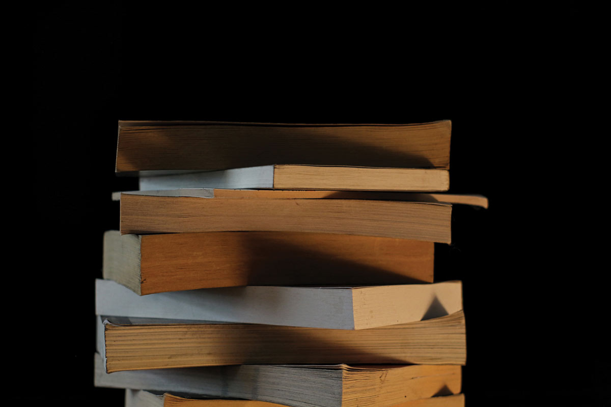 Literaturlenz