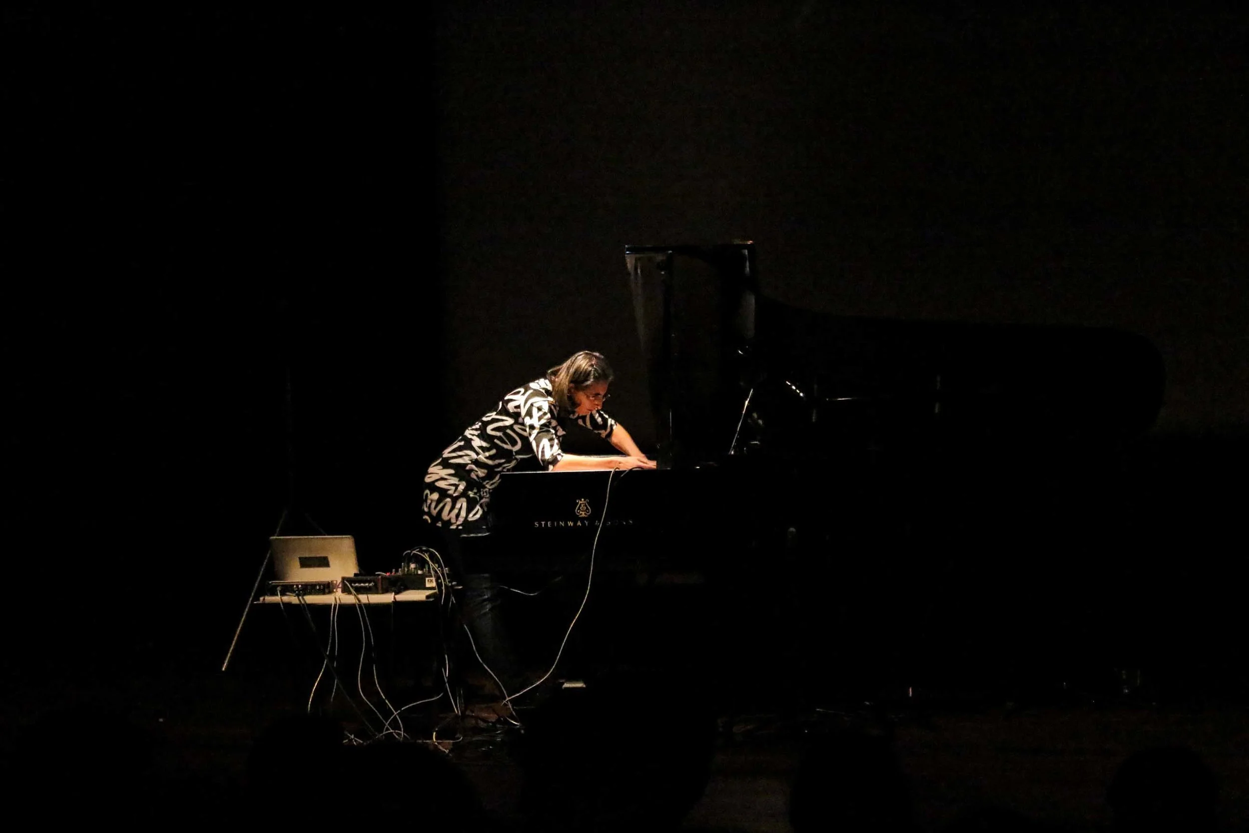 Katharina Klement. Reva and David Logan Center for the Arts, Chicago, 2015.