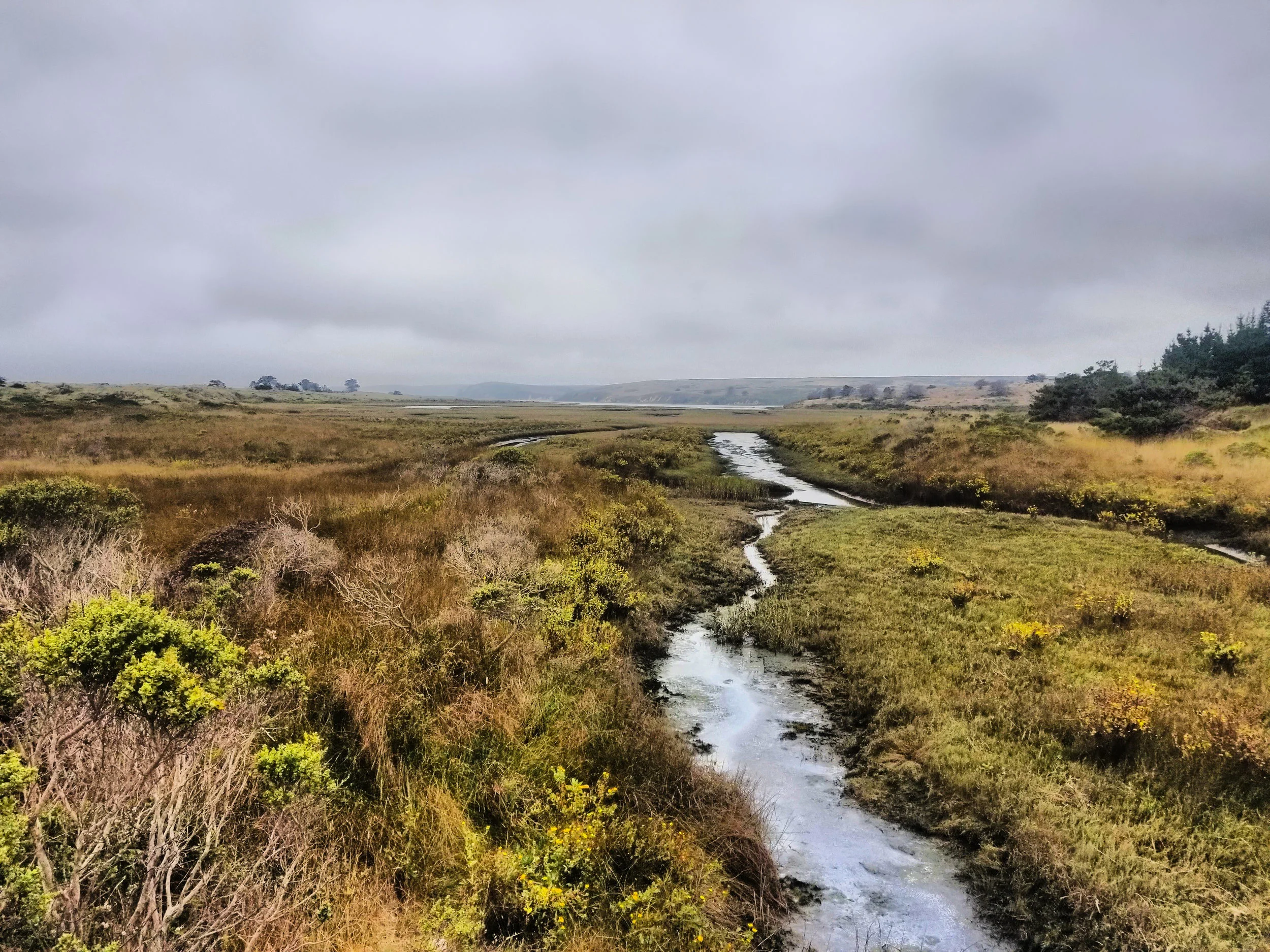 Point Reyes National Seashore. California, 2018.