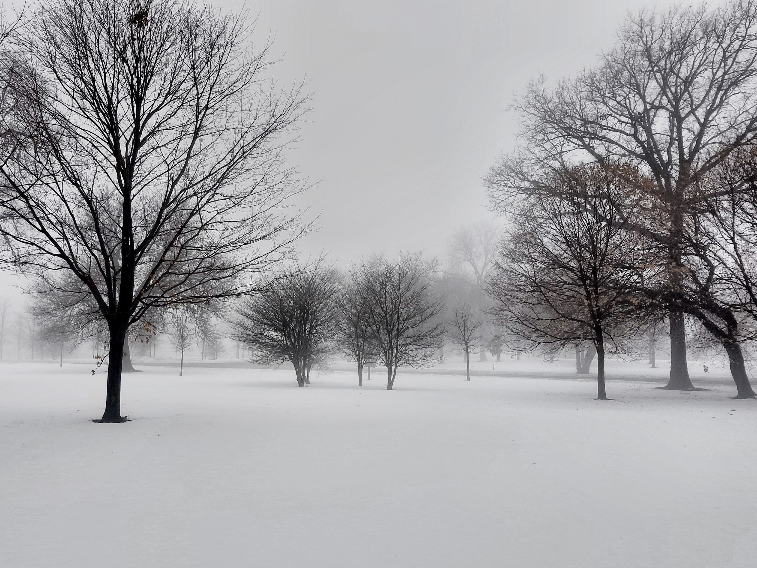  Jackson Park. Chicago, 2018. 