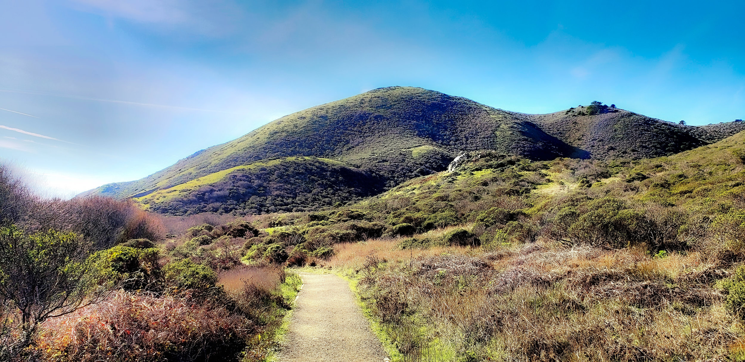  Tennessee Beach, California, 2019. 