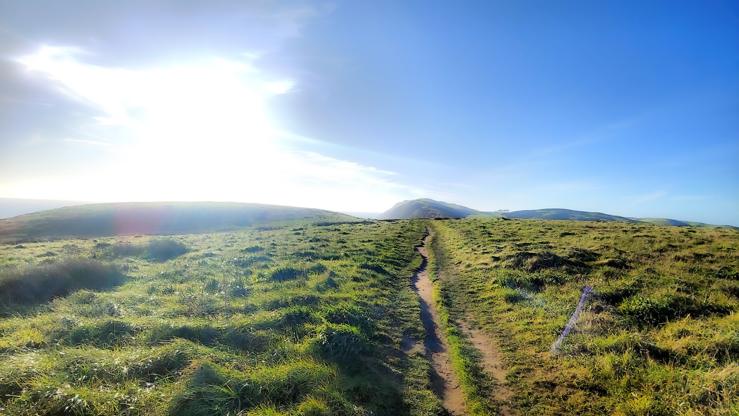  Point Reyes National Seashore, California, 2019. 