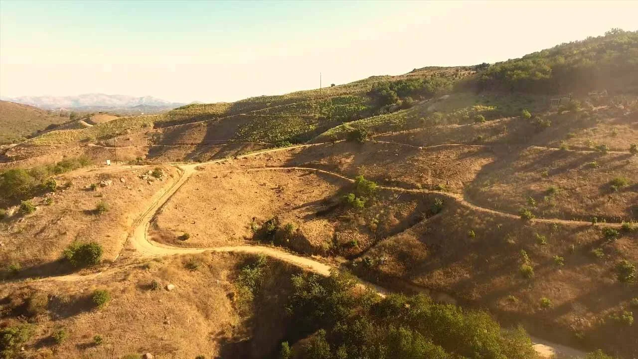 Creating a marketing video for Bandy Ranch Floral