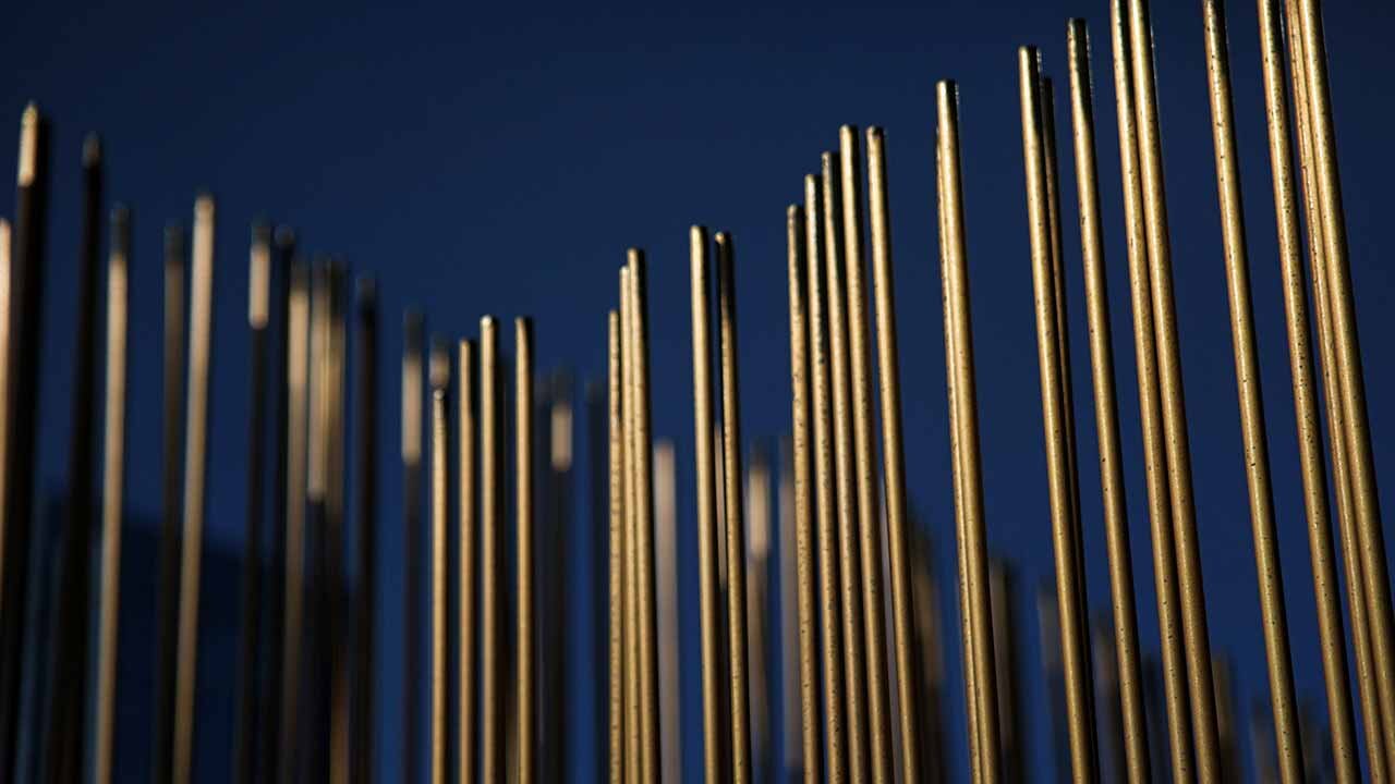 photo-bertoia.jpg