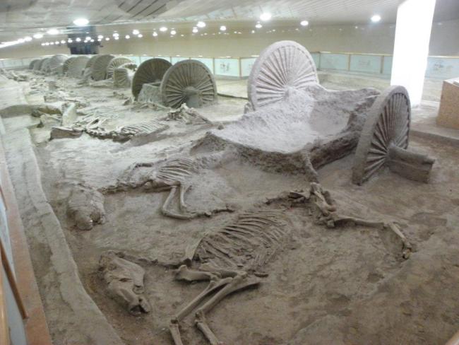 p1010283.jpg