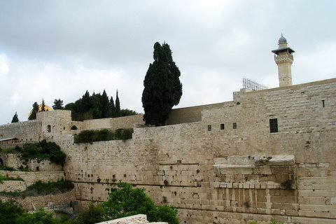 Robinson's Arc
