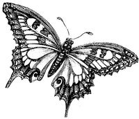 3067341-4939729-thumbnail.jpg