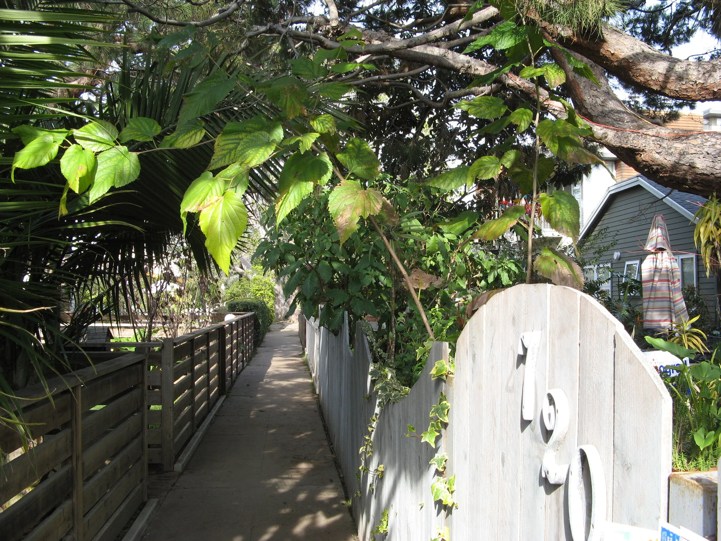 Venice Beach 019.jpg