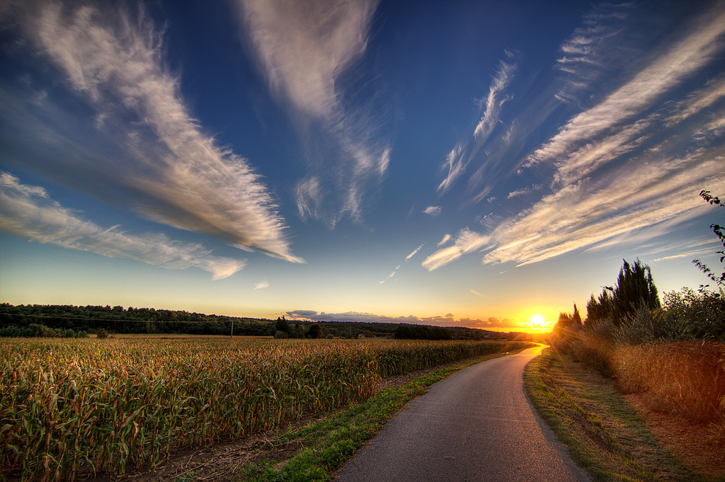 La route vers le champ de maïs au coucher du soleil. Photo by decar66 via Flickr CCL.