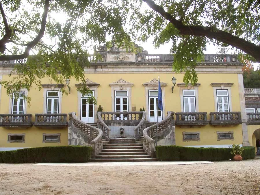 Love and Portugal and Me