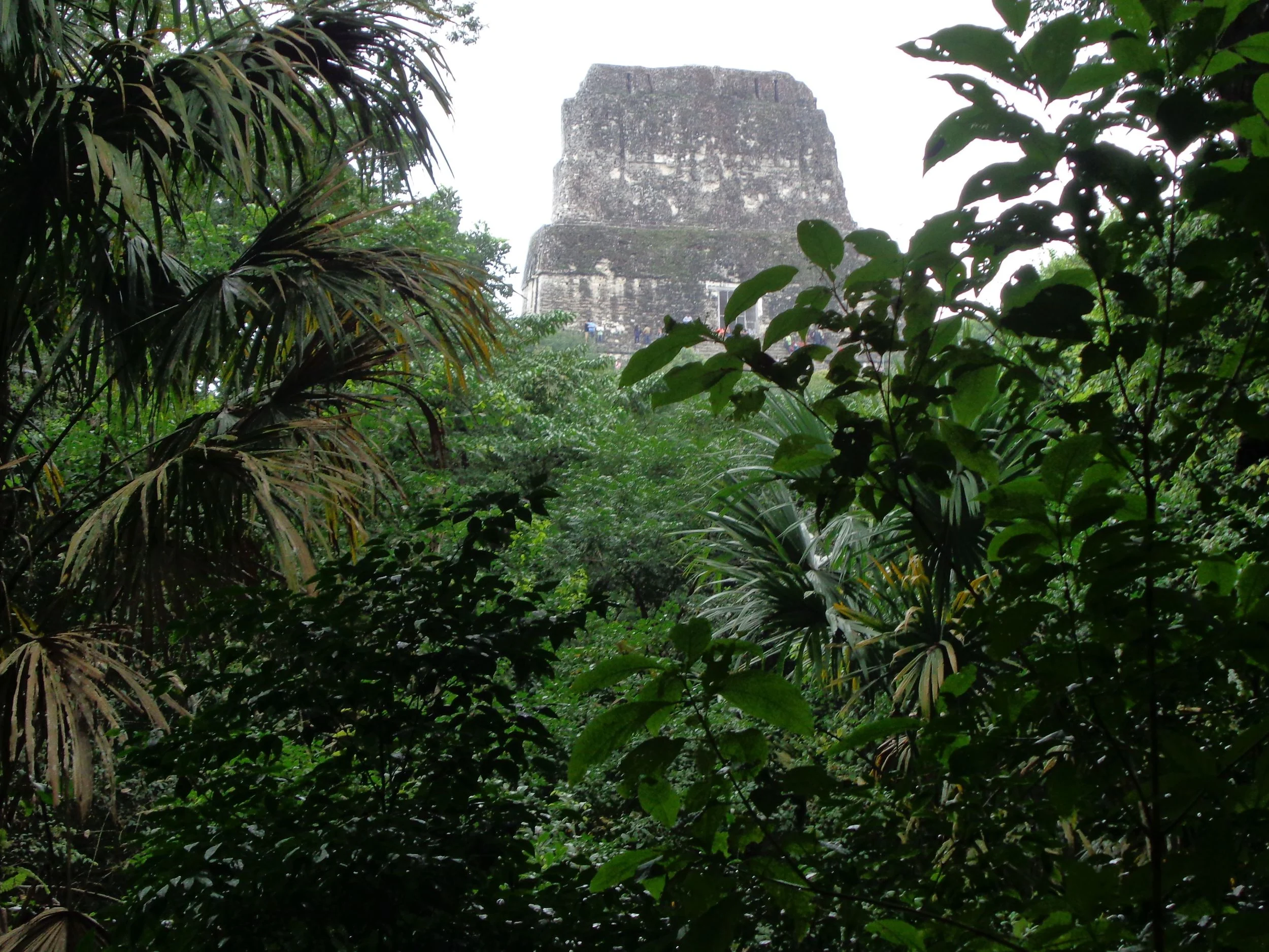 Maya Adventure: Thinking Big and Small