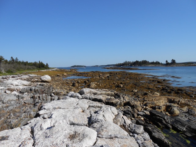 Looking north along the coast of Harbor Island with Black Island in the distance.