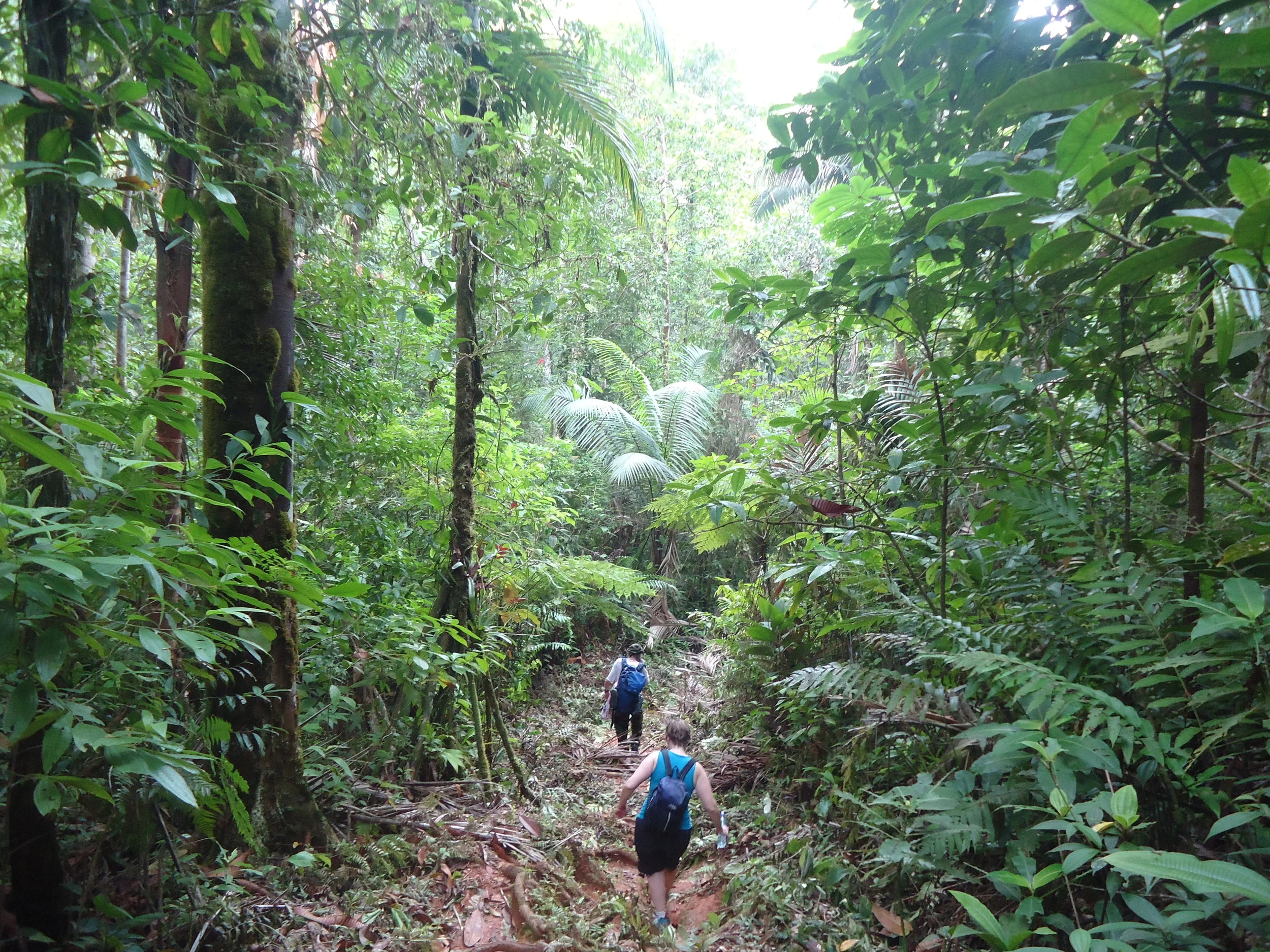 Costa Rica and the Trek of a Lifetime 