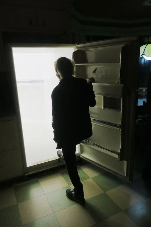 Your everyday Walk-thru Refrigerator.JPG