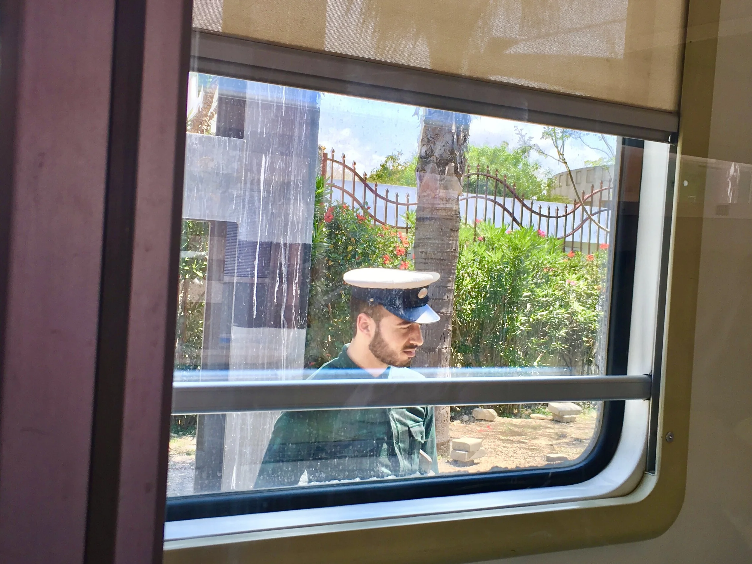 The Best Laid Travel Plans