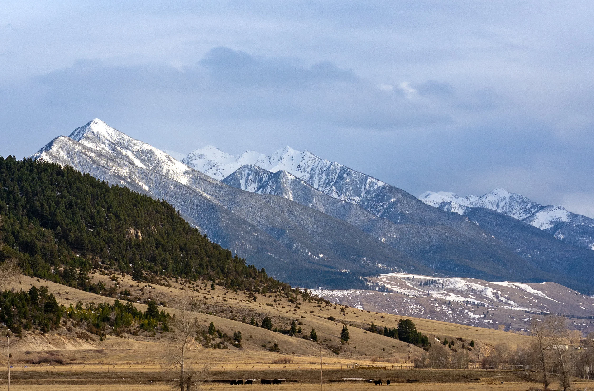 Montana on my mind