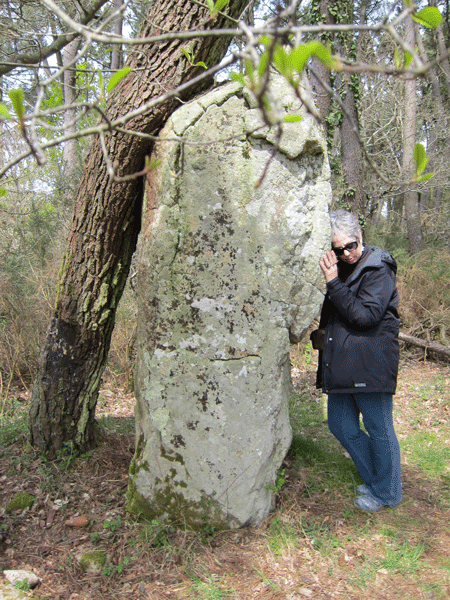 The Alignments in Carnac, Brittany, France