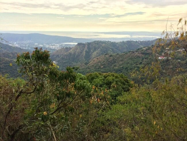 Inside Jamaica’s Blue Mountains: A Stranger in their Midst