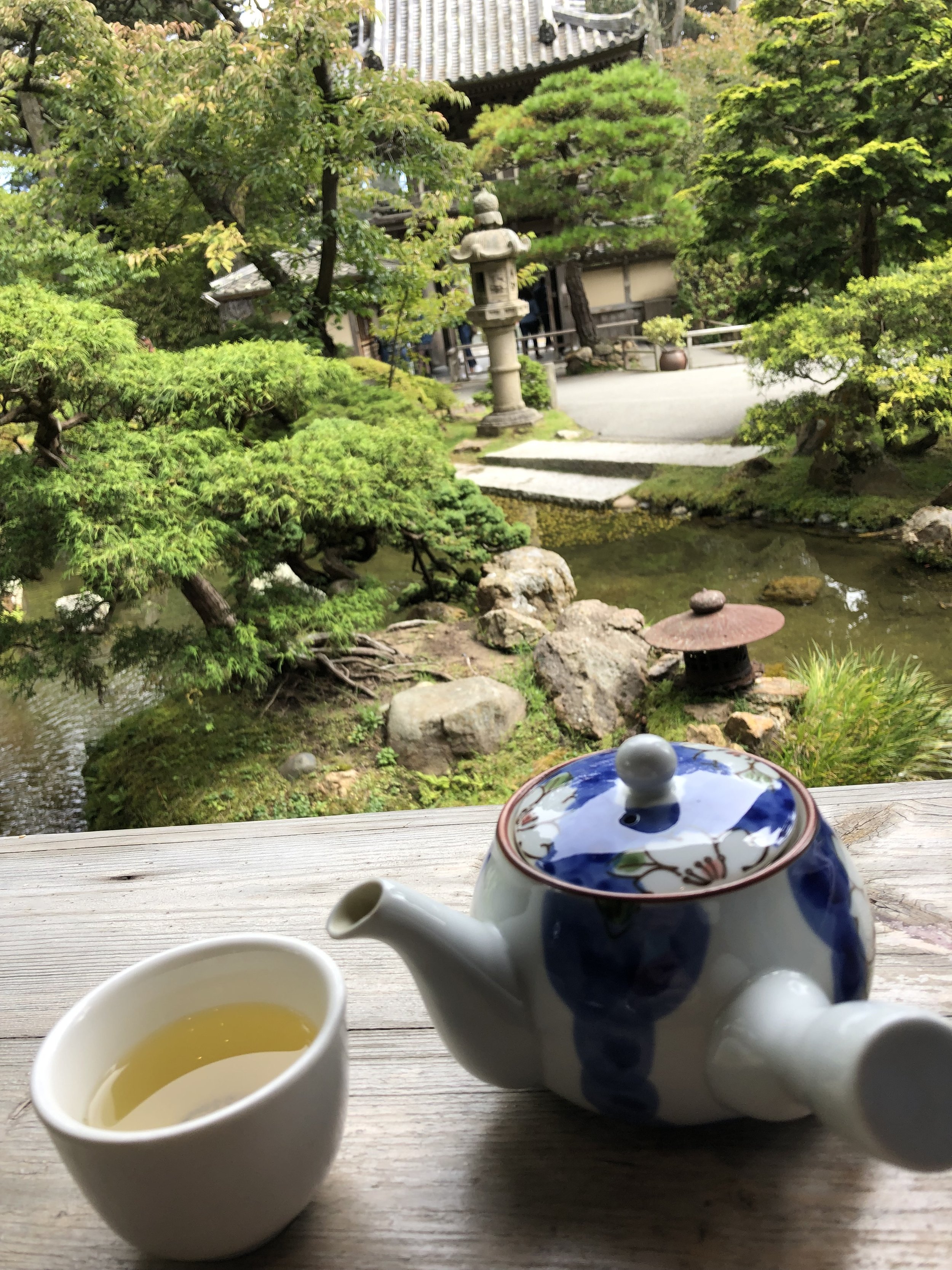 Can you go home again?