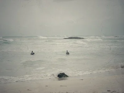 The Primeval Waters of Bahia de Ascension