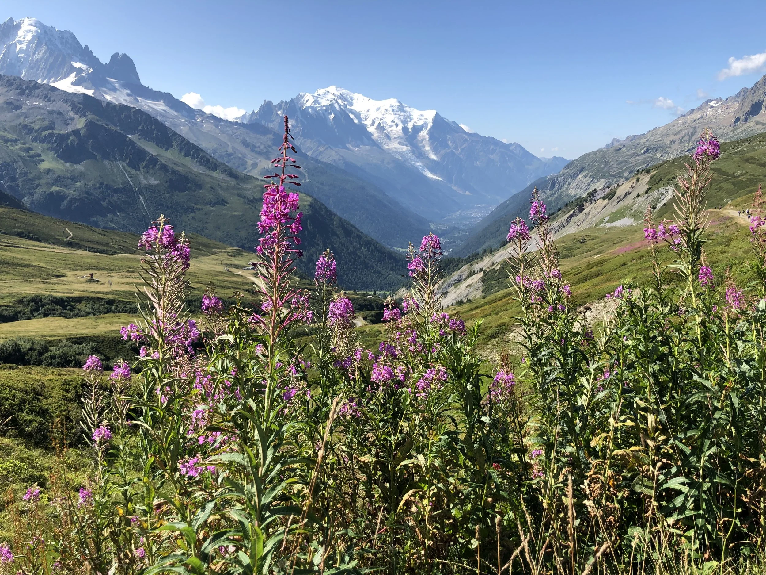 Frozen on an Alp