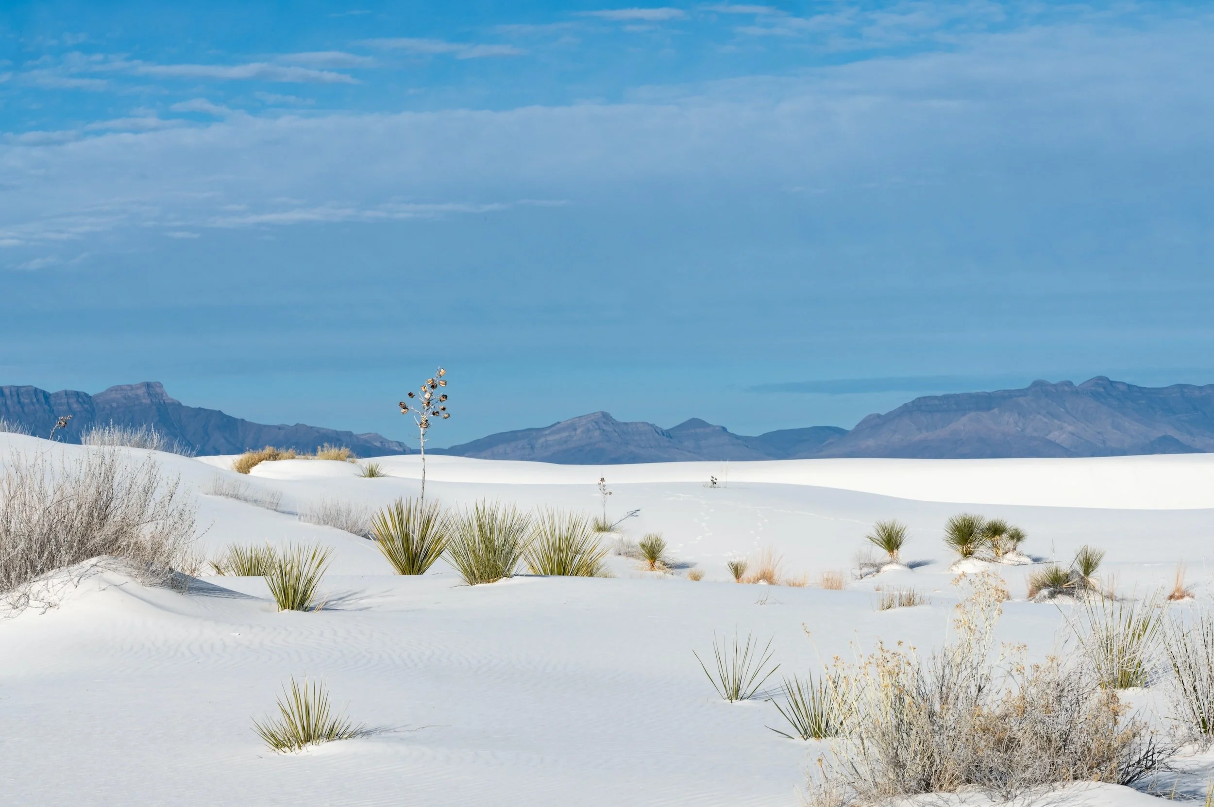 The Magical Dunes of White Sands