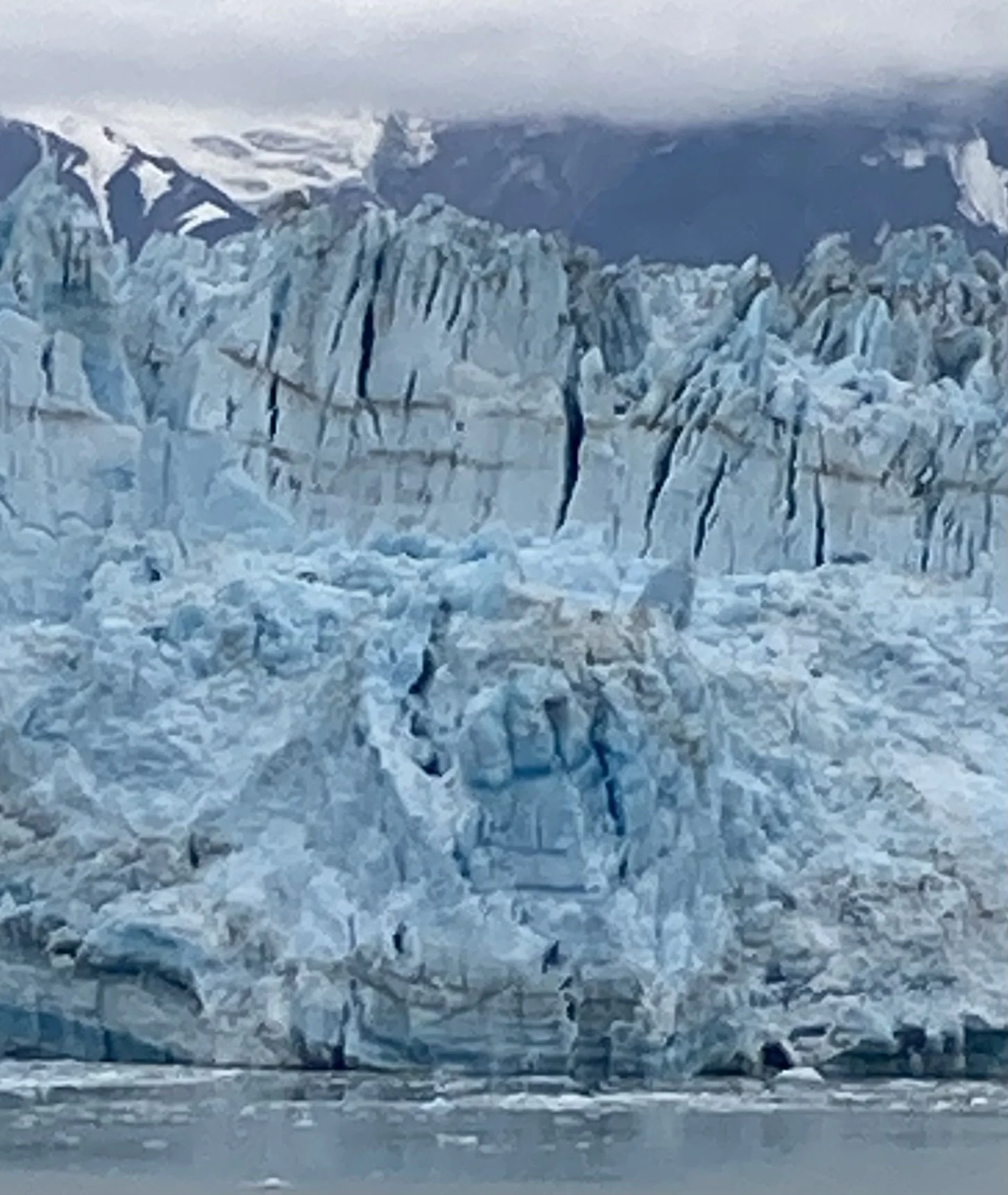 Cruising Conundrums: Where Ethical Tides and Comfort Collide