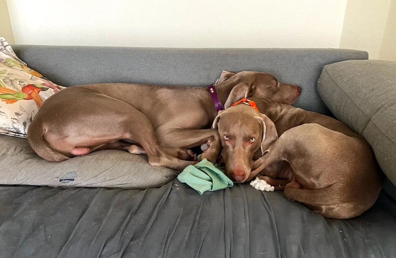 Seeking the real nirvana in the Big Dark