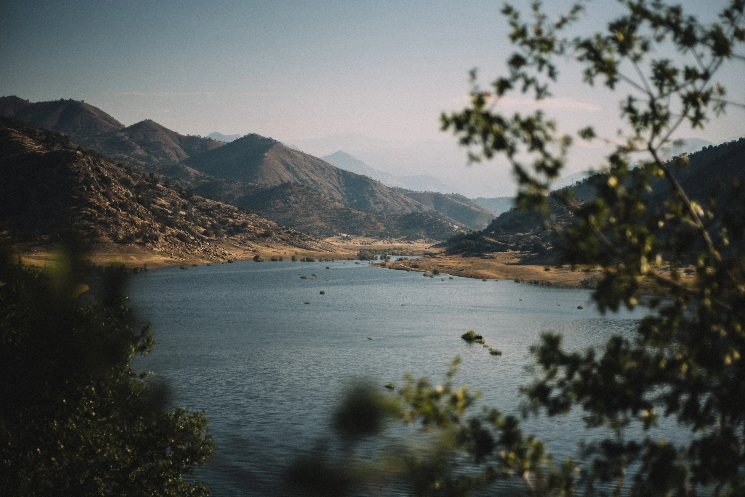 15_SequoiaNP_077.jpg