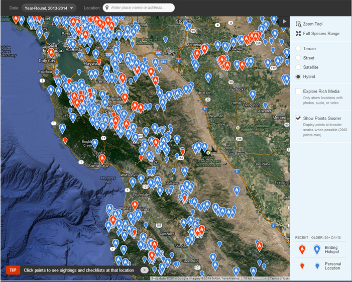 eBird search for White-Breasted Nuthatchs sighting of from Jan-2013 to Jul-2014