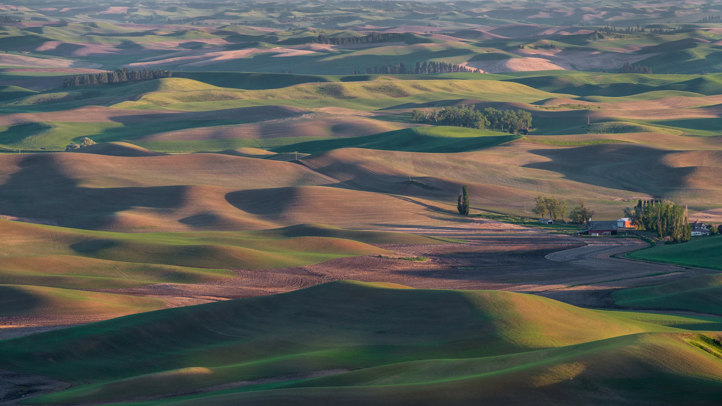 Steptoe Butte Sunset: Steptoe Butte Area, WHI (WA) EQ: D800, 70-200mm f/4.0 Taken: 6-5-2017 at 19:08 Settings: 200mm, 1/160s, f/9.0, ISO160, 0EV Conditions: Clear