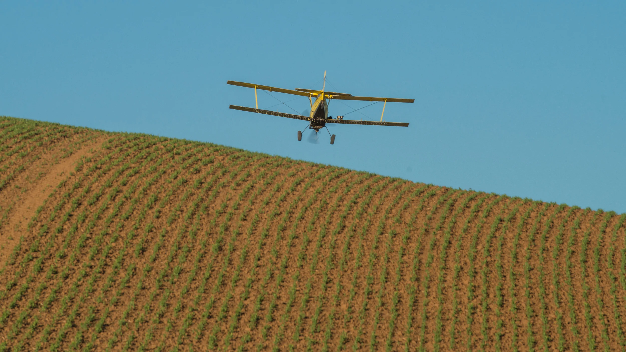 Last Pass: Steptoe Butte Area, WHI (WA) EQ: D800, 70-200mm f/4.0 Taken: 6-5-2017 at 18:32 Settings: 200mm, 1/320s, f/11.0, ISO160, 0EV Conditions: Clear