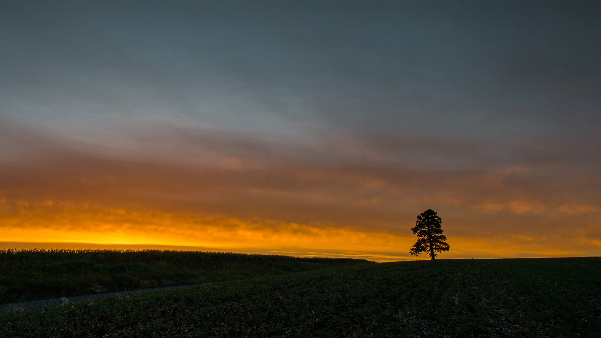 Palouse Washington 2