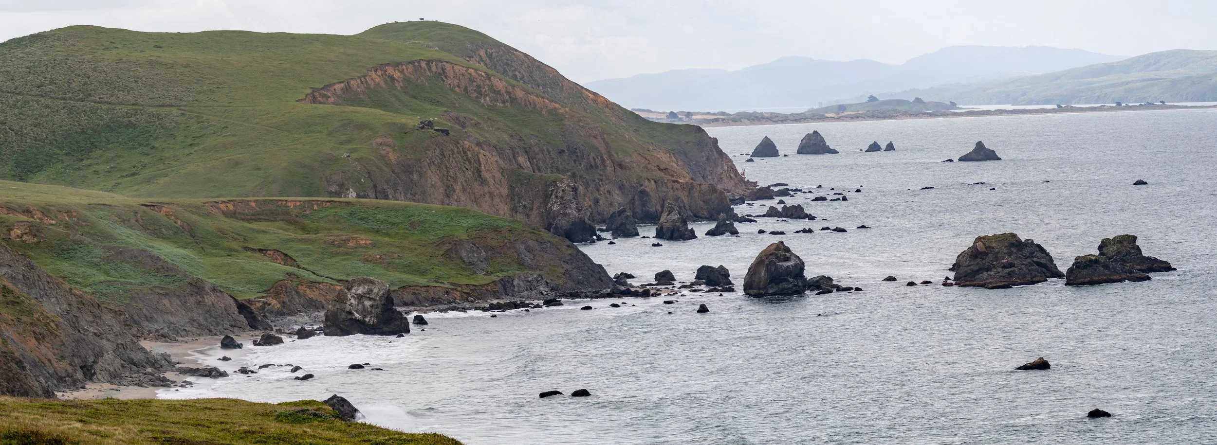 Spring Migration in Sonoma County