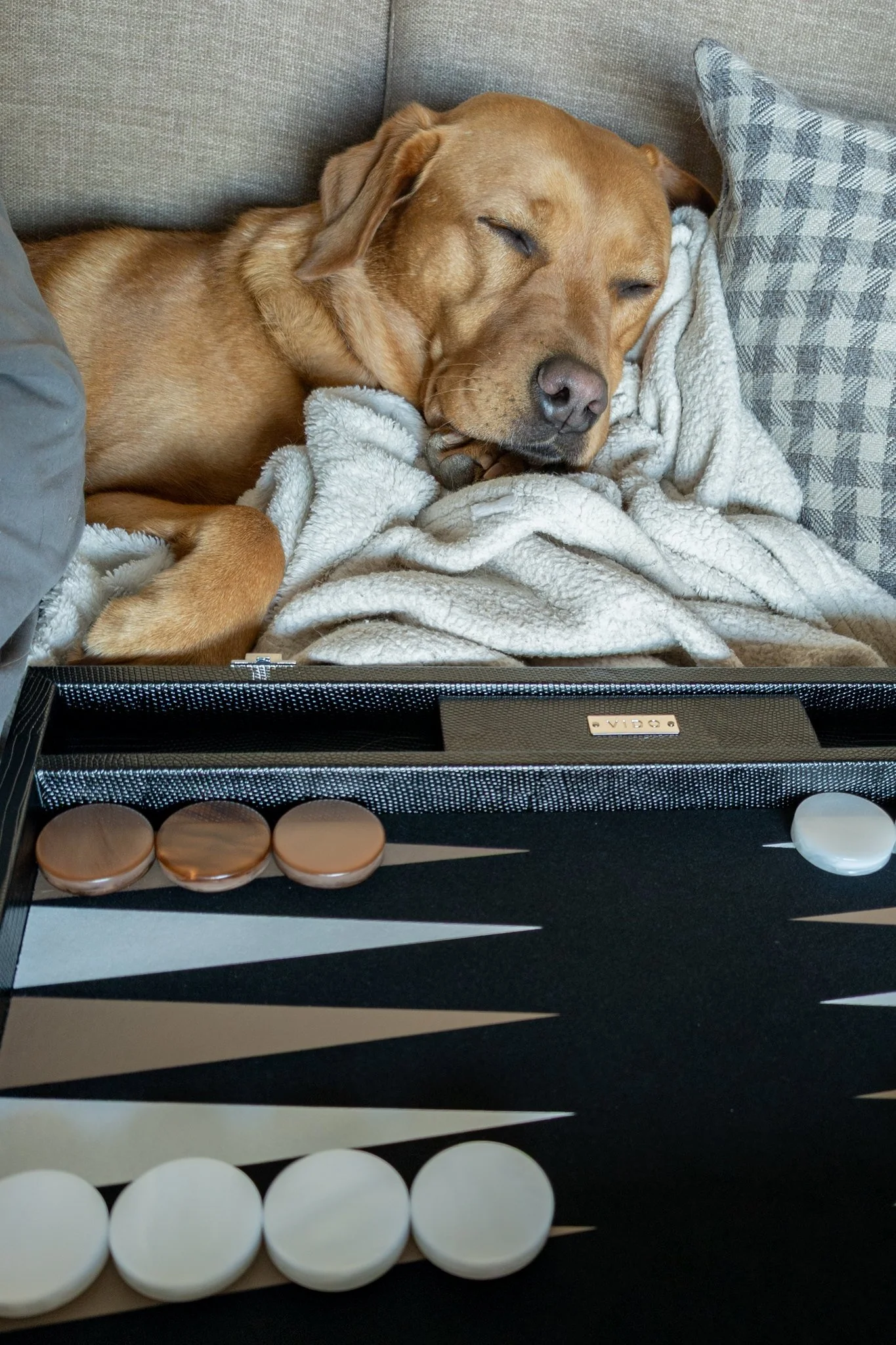Backgammon Referee