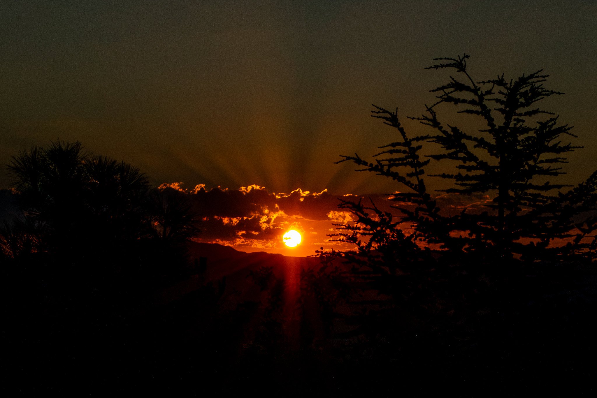 July Surise over Virginia Range