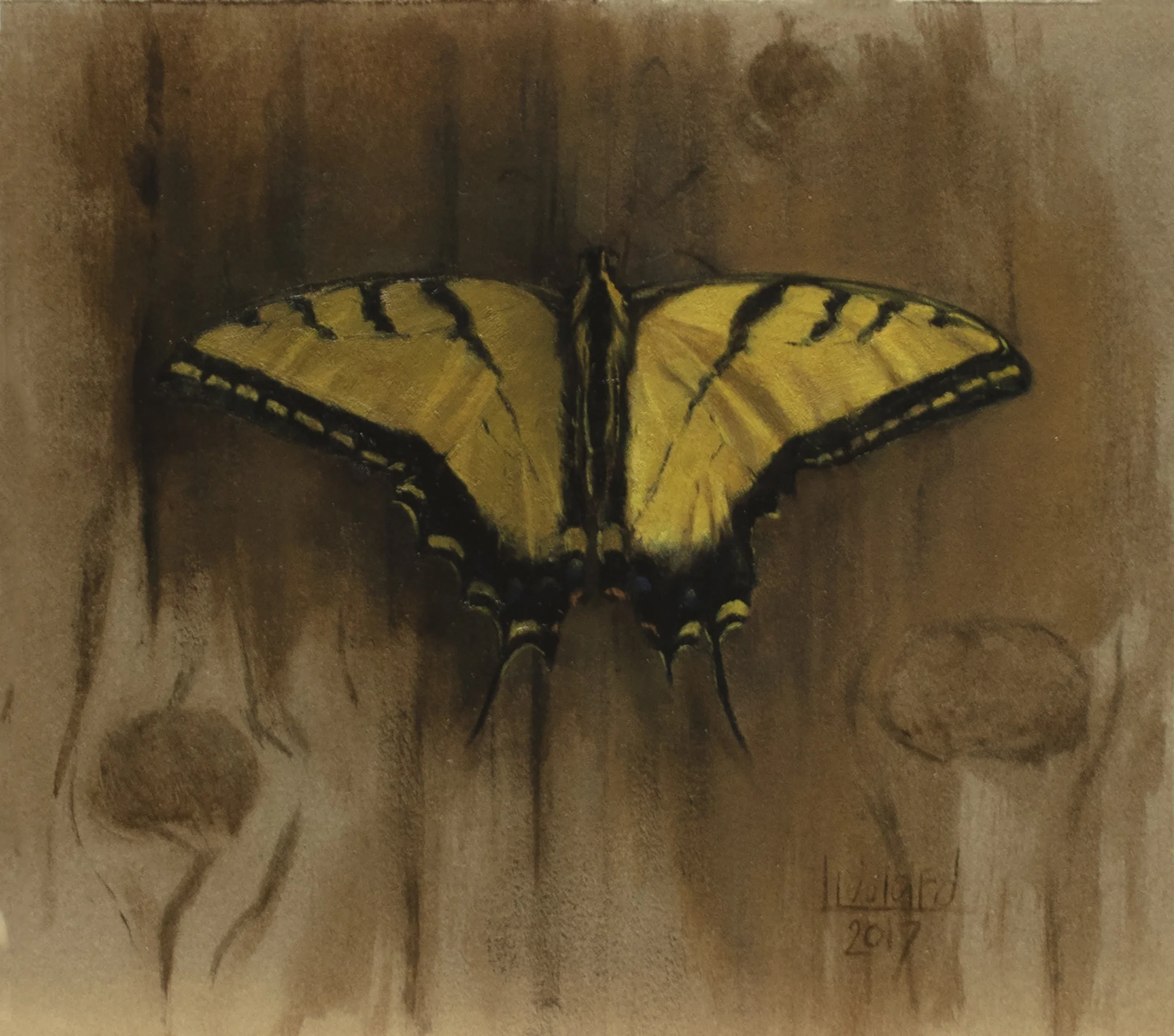 swallowtail butterfly, 6.5x7.25, oil on paper, Liddiard 2017.jpg