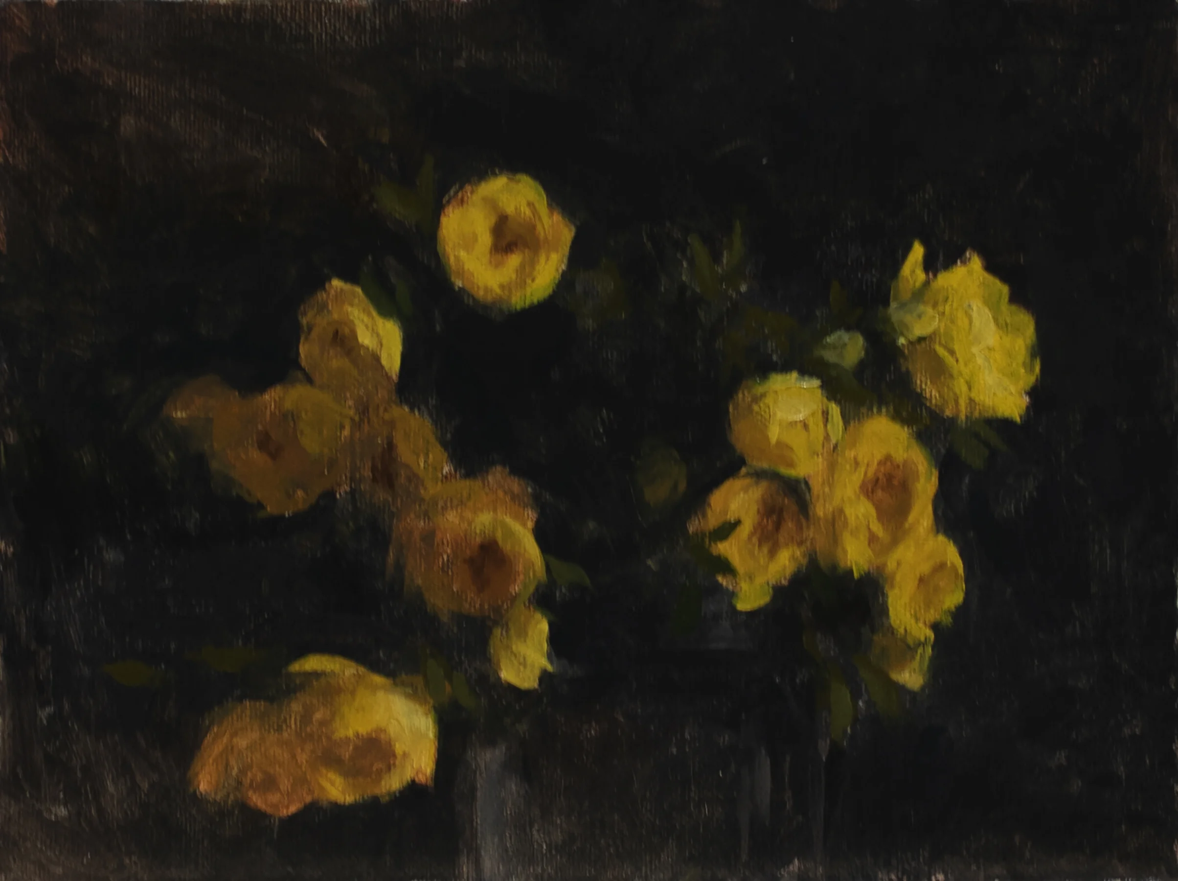 Yellow Roses, study